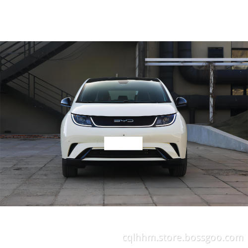 byd dolphin accessories  parts 2022  knight 405km sale 405km fashion edition battery cover electric car